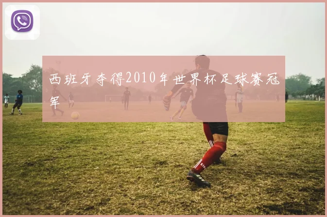 西班牙夺得2010年世界杯足球赛冠军
