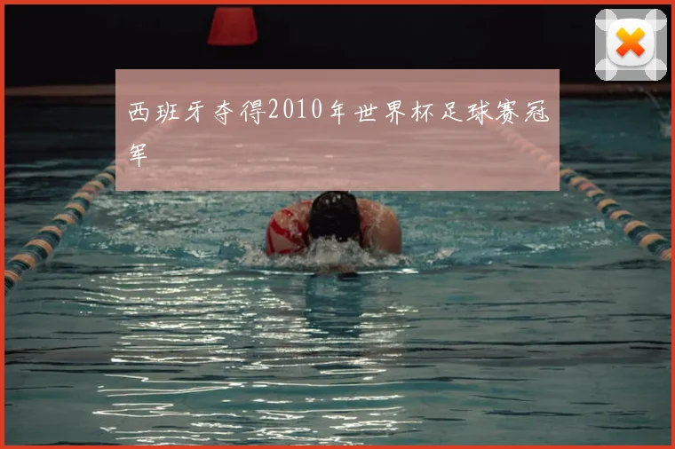 西班牙夺得2010年世界杯足球赛冠军